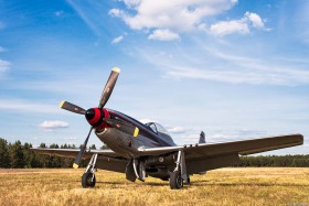 Mustang P-51D