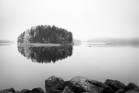 Saari