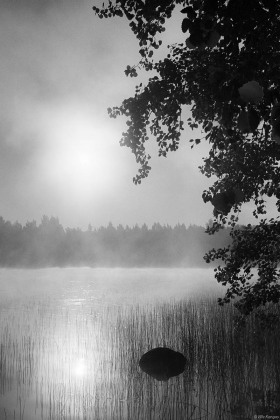 Auringonnousu sumussa