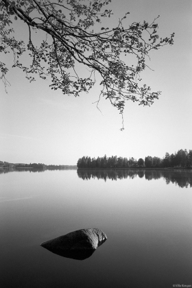 Peilityyni järvi