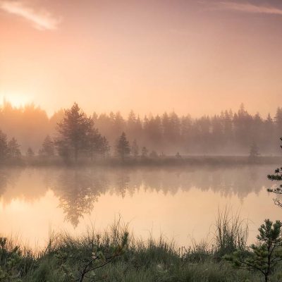 Aamun valoa Kaakkolammella