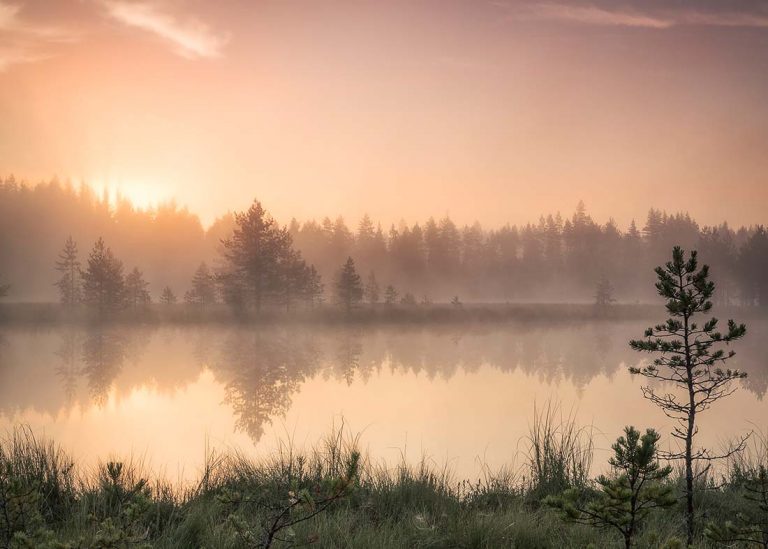 Aamun valoa Kaakkolammella